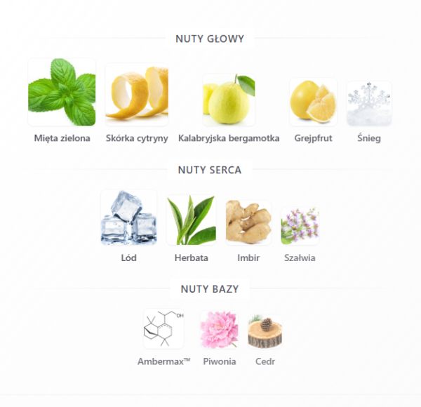 Freeze Riiffs 100 ml perfumy męskie – zdjęcie 2